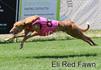 Eli Red Fawn
